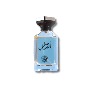 اصل العرب - Asel Al-Arab