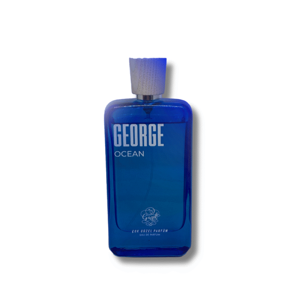 جورج اوشن - Georg Ocean